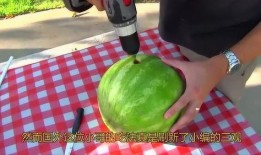 电钻吃瓜网红,揭秘网红电钻吃瓜背后的故事